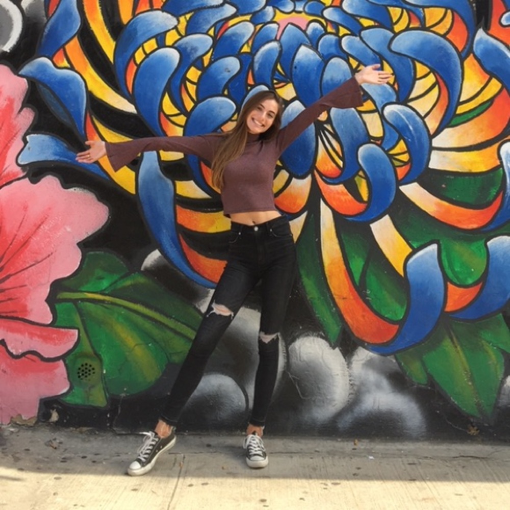 American Eagle Cropped Long Sleeve Tee OS